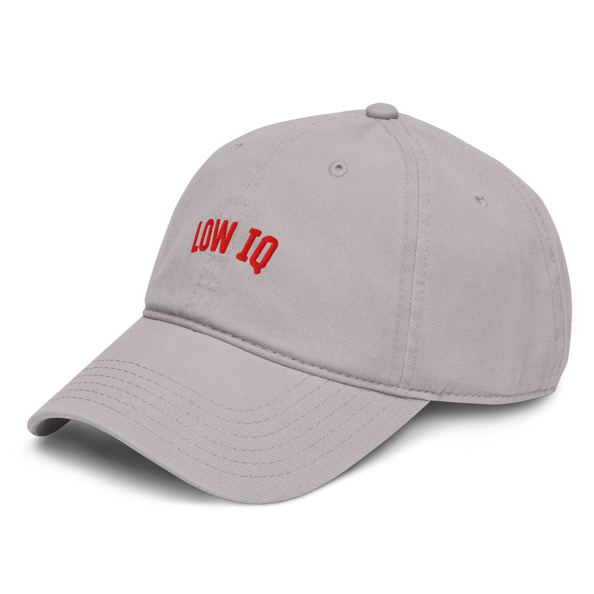 Low IQ Vintage Hat - Gray - Image 3