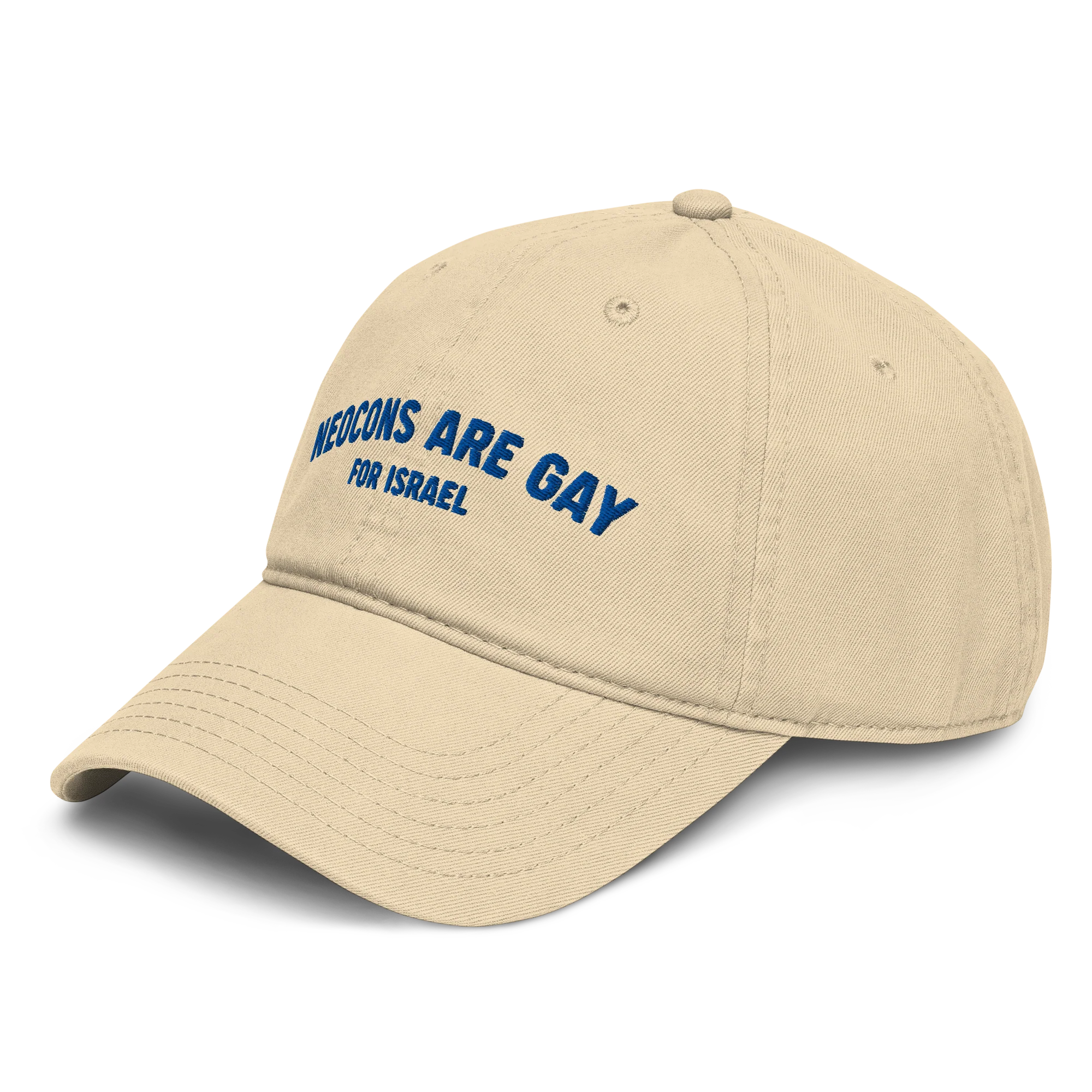 Neocons Are Gay Vintage Hat - Khaki - Image 3